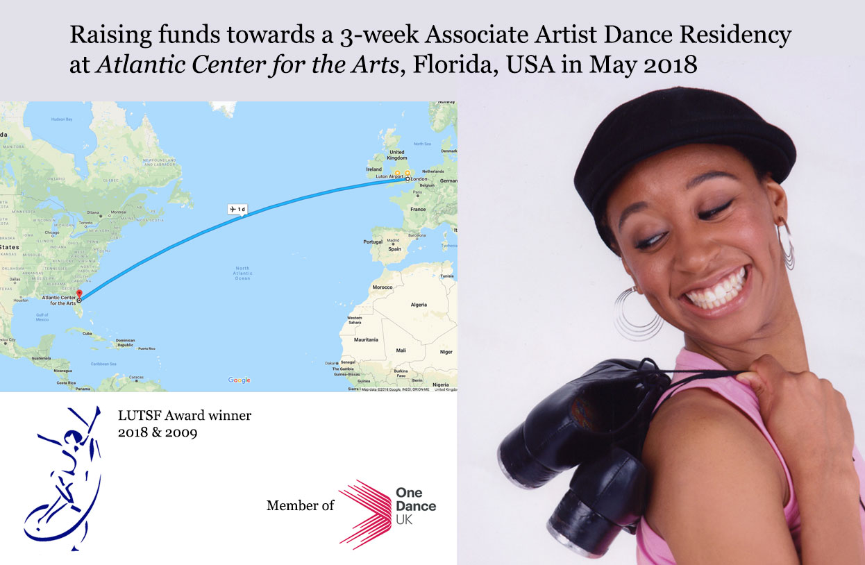 GoFundMe Associate Artist ACA Residency 169, Florida, USA